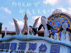 -上海海昌海洋公园