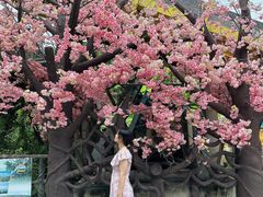 -求水山公园