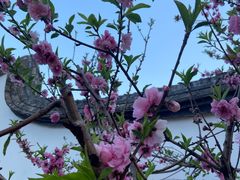 -乌山风景区