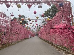 -北京凤凰岭