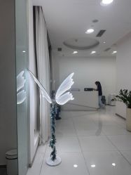 -agge蛋白医美