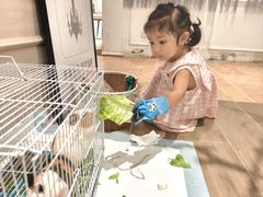 -HERRE·FARM 赫尔露营农场·团建聚会包场