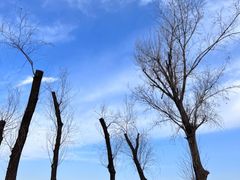 -东郊湿地公园