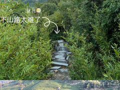 -午潮山国家森林公园