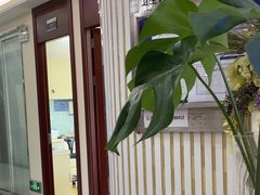 -泰康拜博口腔(世博园乐尔店)