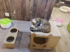 -宠物世家(仲盛世界商城店)