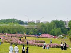 -长白岛森林公园