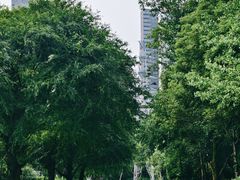 -重庆彩云湖湿地公园