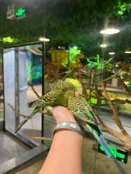 -酷嗒动物文化乐园(cutezoo西溪乐天城店)