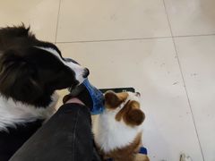 -平行世界·猫咖(首经贸店)