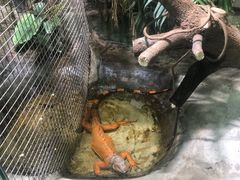 -上海大自然野生昆虫馆(东方明珠·爬宠昆虫探索中心)