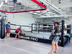 -花环泰拳·勒德斯拉泰拳馆(静安店)