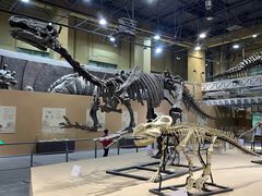 -国家自然博物馆