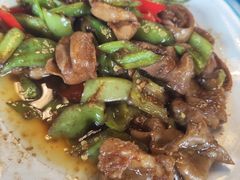 -白渔泡湿地公园