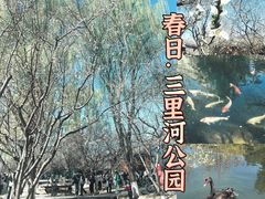 -三里河公园