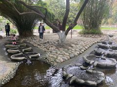 -成都市活水公园
