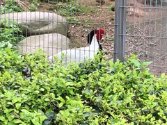 -宁波野生动物园