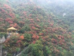 -郧西五龙河风景区