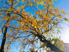 -帽儿山国家森林公园