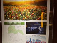 -泸州老窖景区