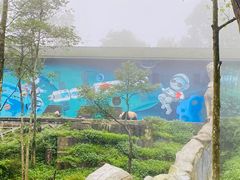 -碧峰峡风景区