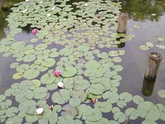 -昆山城市生态森林公园