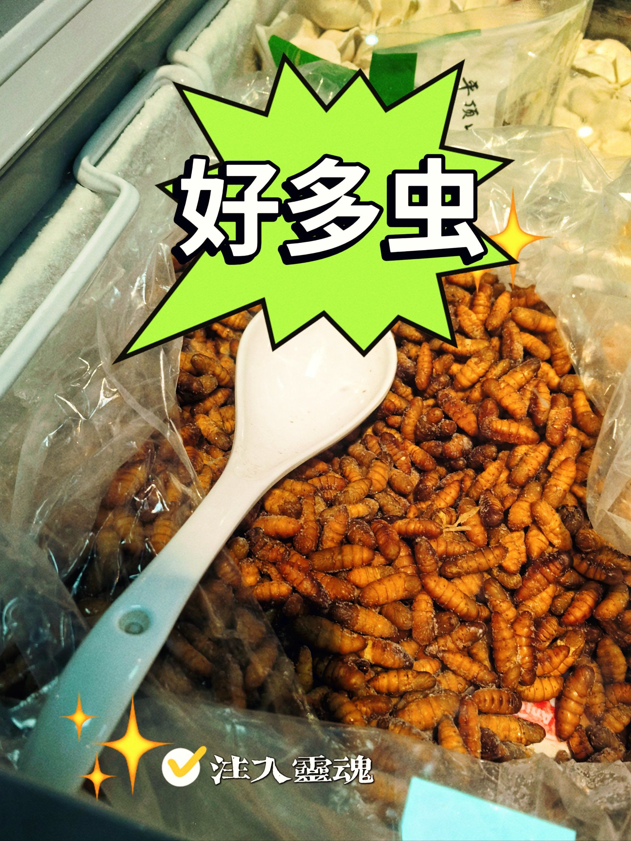 好吃的虫子?