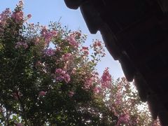 -苏州冶园园林民宿(太湖西山风景区店)