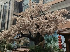 -嘉悦汗蒸时代(曙光路店)
