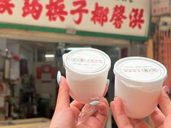 -洪馨椰子
