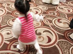 -东方明珠老上海8号餐厅(东方明珠广播电视塔店)