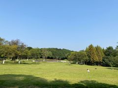 -南京珍珠泉风景区