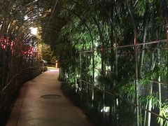 -西安曲江寒窑遗址公园