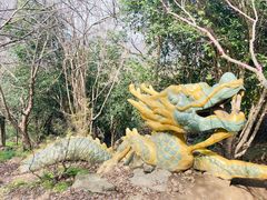 -紫金山山顶公园