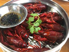 贵妃虾-0574龙虾的故事(东裕店)