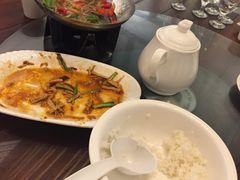 -四季春