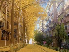 -陕西师范大学(雁塔校区)