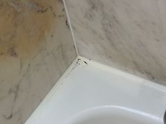 -北京饭店