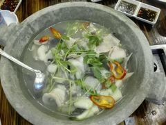 -鸭嘴鱼