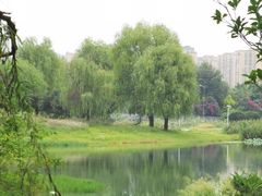 -两河城市森林公园