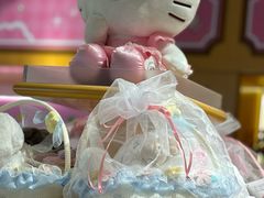 -安吉Hello Kitty乐园