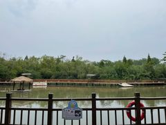-溱湖国家湿地公园