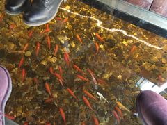 -颐和•海鲜砂锅粥•啫啫煲(奥林匹克广场店)