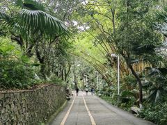 -中山公园(石岐街道)