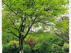 -龙头寺公园