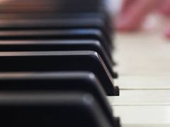 -柏斯音乐艺术中心·钢琴·吉他(世纪金源店)