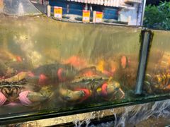 -鑫悦楼煎蟹·16年海鲜大排档