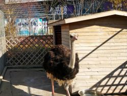 -萌宠亲子动物乐园(槐房万达店)