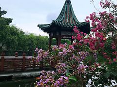 -东莞市可园博物馆