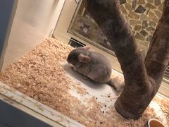 -龙猫仔乐园(惠福东路店)